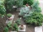Herb garden Herb garden